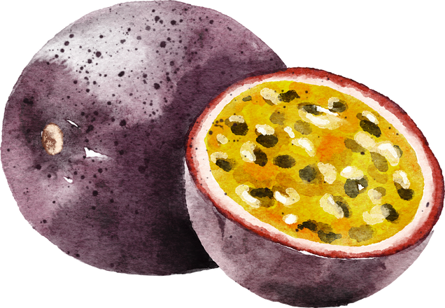 Passion fruit hand drawn watercolor painting